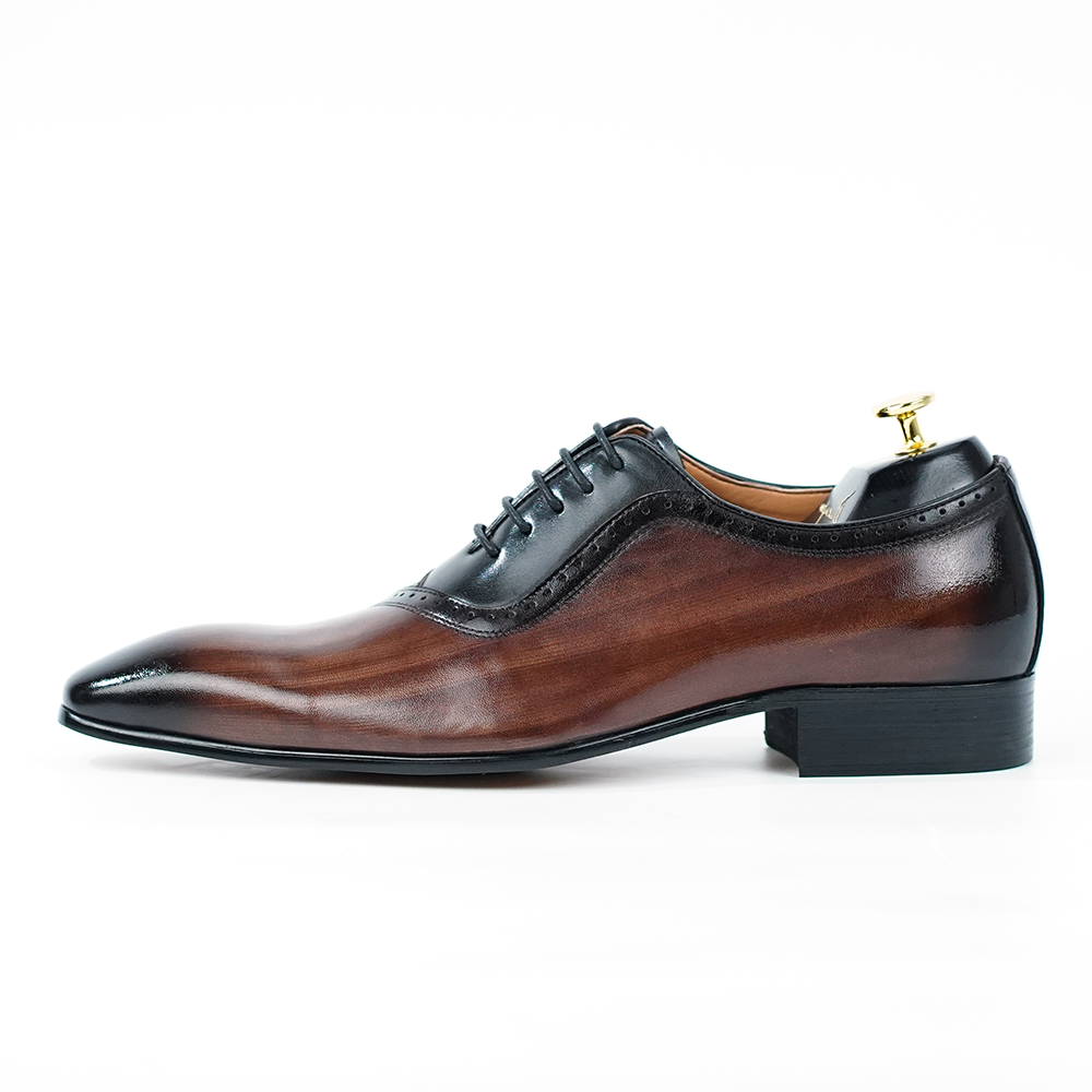 Stellare Oxfords